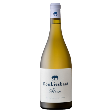 Donkiesbaai - Steen