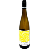 Weingut Sturm - Riesling Trocken Vom Schiefer BIO