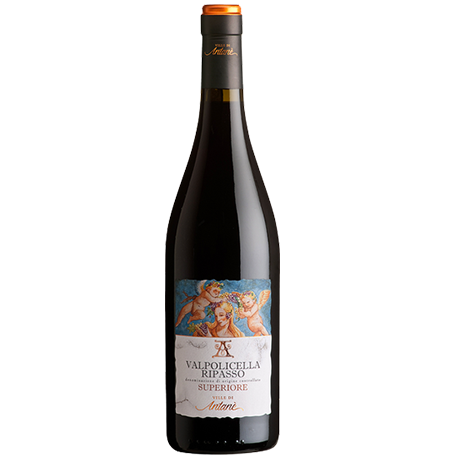 Le Ville Di Antanè - Valpolicella Ripasso Superiore