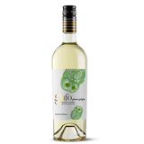 Cantina Tollo - Pinot Grigio Gufo