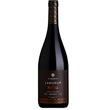 El Porvenir de Cafayate -  Laborum Malbec de Finca Alto Rio Seco