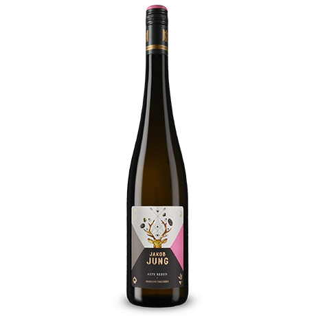 Jakob Jung - Riesling Alte Reben Trocken